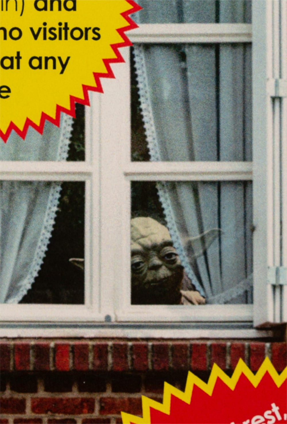 Lockdown Carehome Resident — photo 3